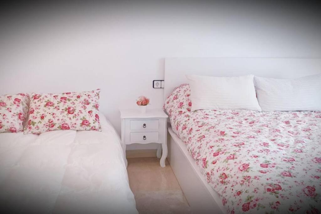 Apartamento PEPA. En el corazón del Delta. Sant Jaume d'Enveja Exterior foto